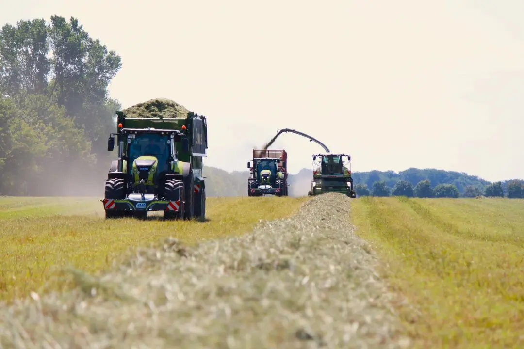 A tractor with a front weight bumper and trailer full of grass drives in a field, followed by two more machines harvesting.