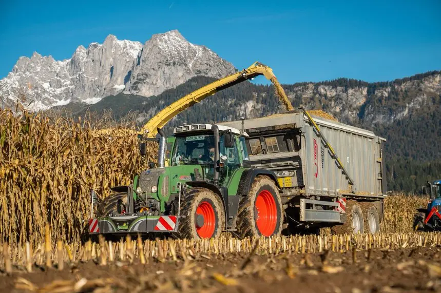 A green tractor with a front weight bumper is harvesting corn in a field with mountains in the background
